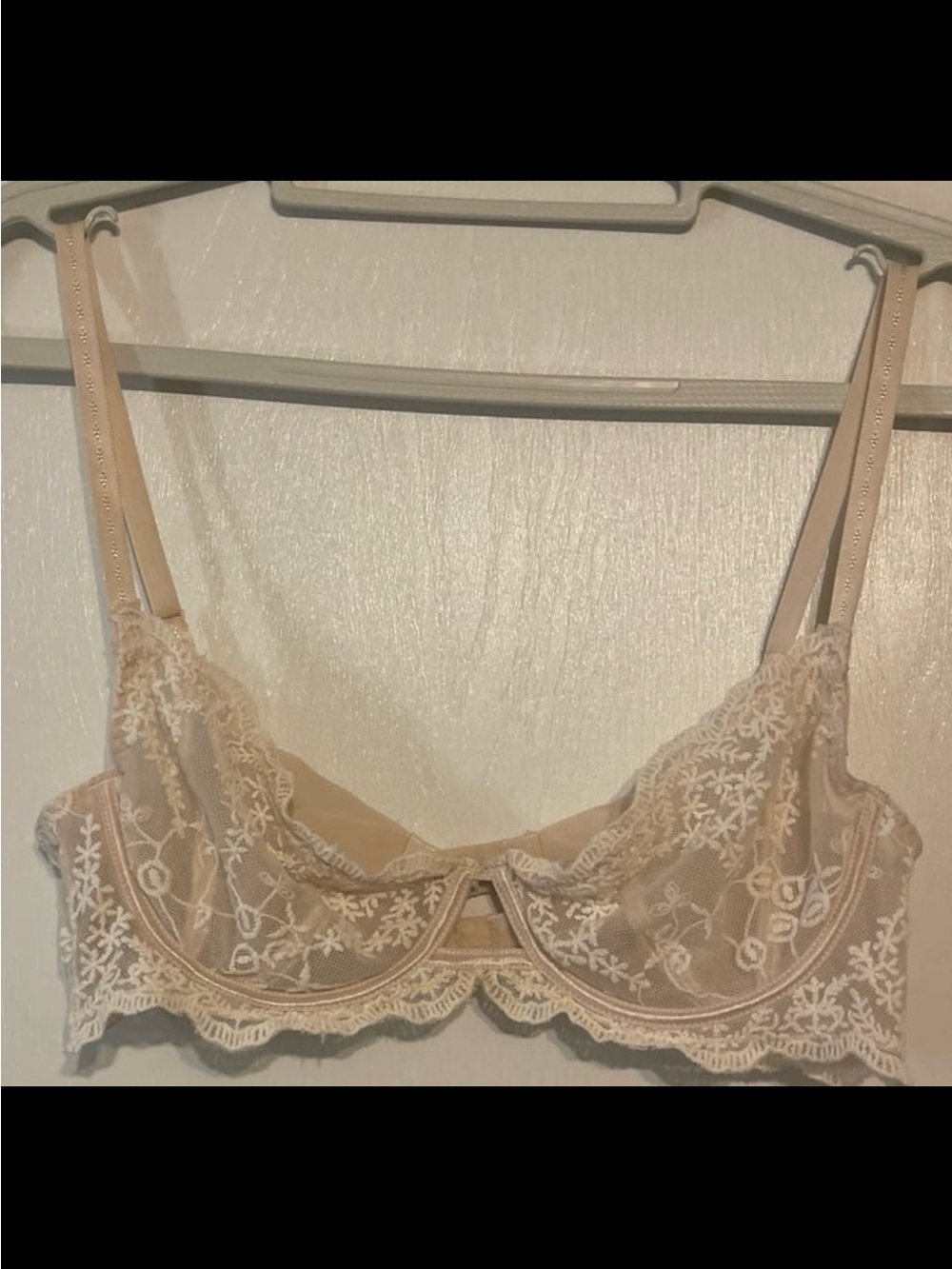 Free People Embroidered Sheer Lace Bra - Beige